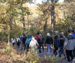 Group of people walking into a forest to pull invasive species out